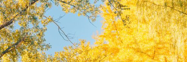 mors_gn Profile Banner