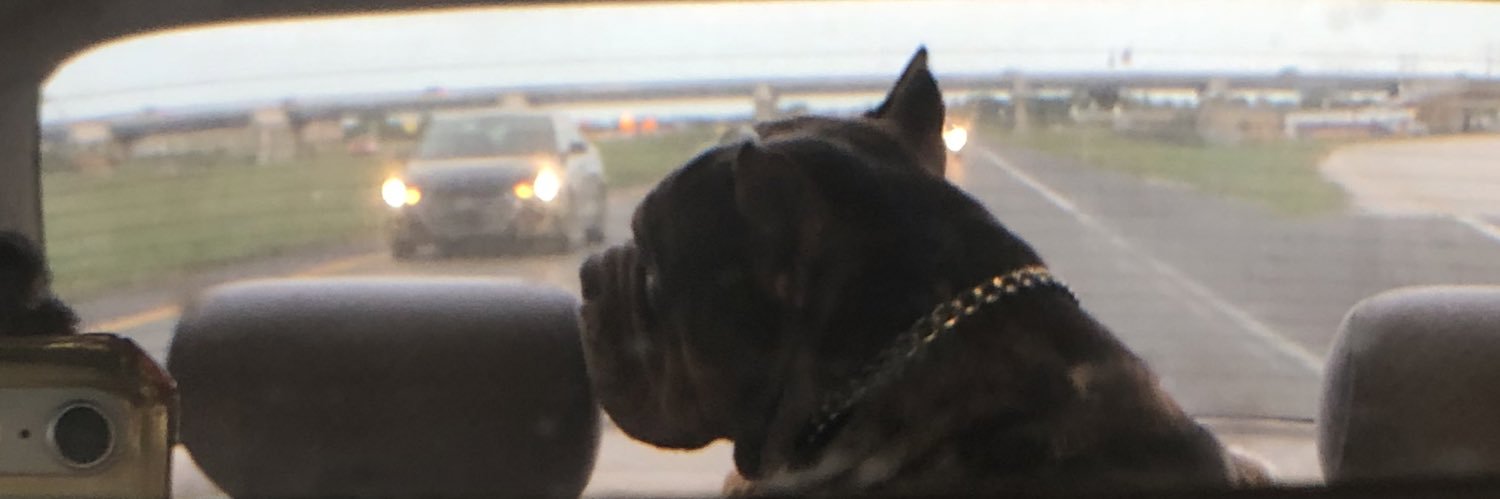 qpJair's profile banner image