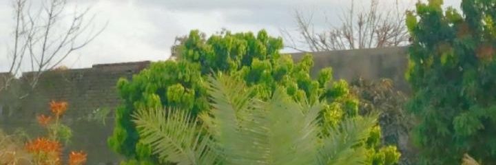 alamesafzai's profile banner image