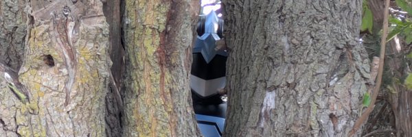 UselessCeiling Profile Banner