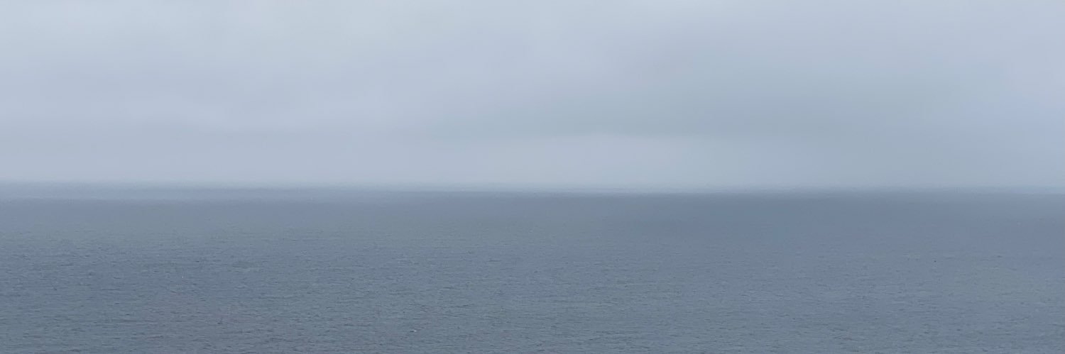 coocoooocoo's profile banner image