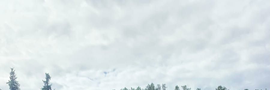 ruefilled's profile banner image