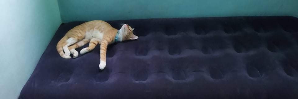 ta_spammer's profile banner image
