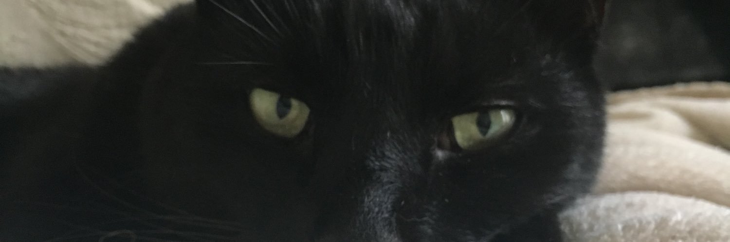 MichelleMetro's profile banner image