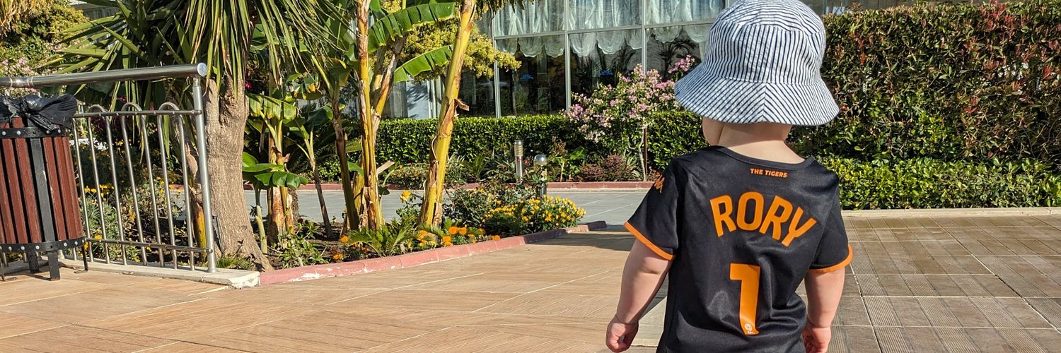 Ryan banner