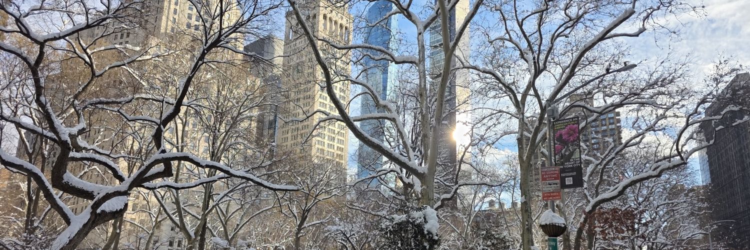 Darius Radzius banner