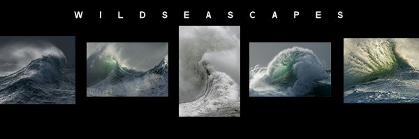 Mark Dobson | Wild Seascapes's banner