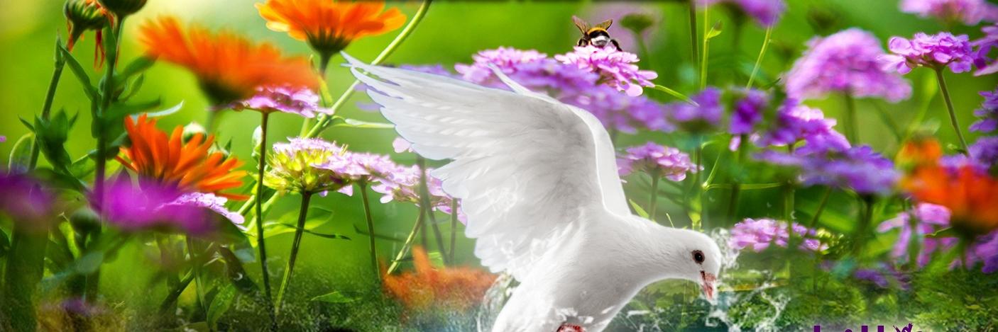 Tindle23's profile banner image
