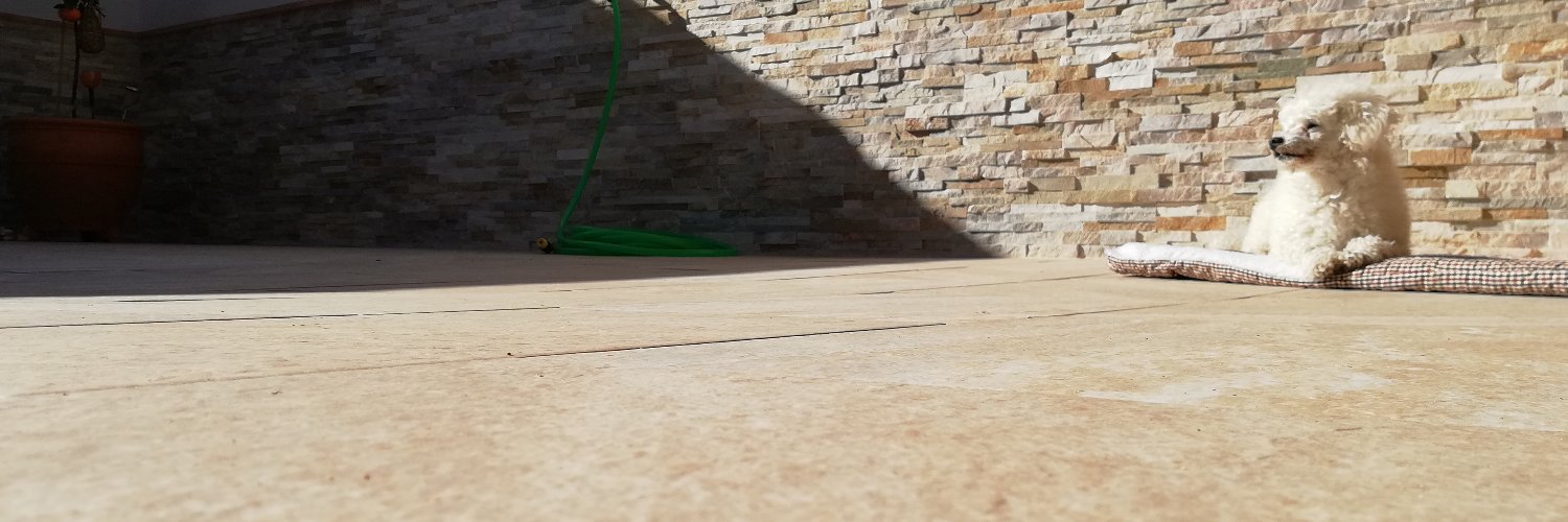CrismjTo's profile banner image