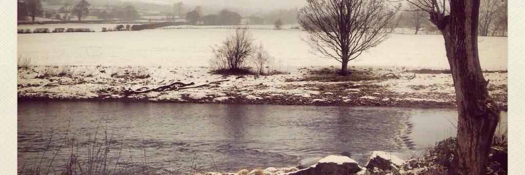 Spread Eagle Sawley banner