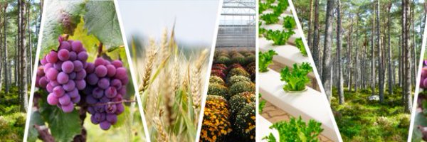 AgreentechV Profile Banner