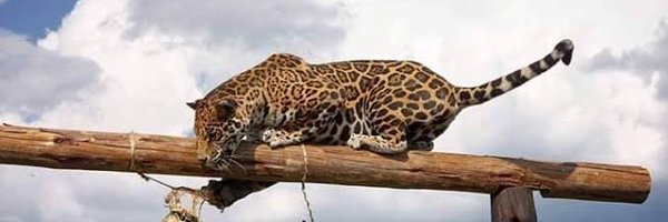 Bennizaa88 Profile Banner