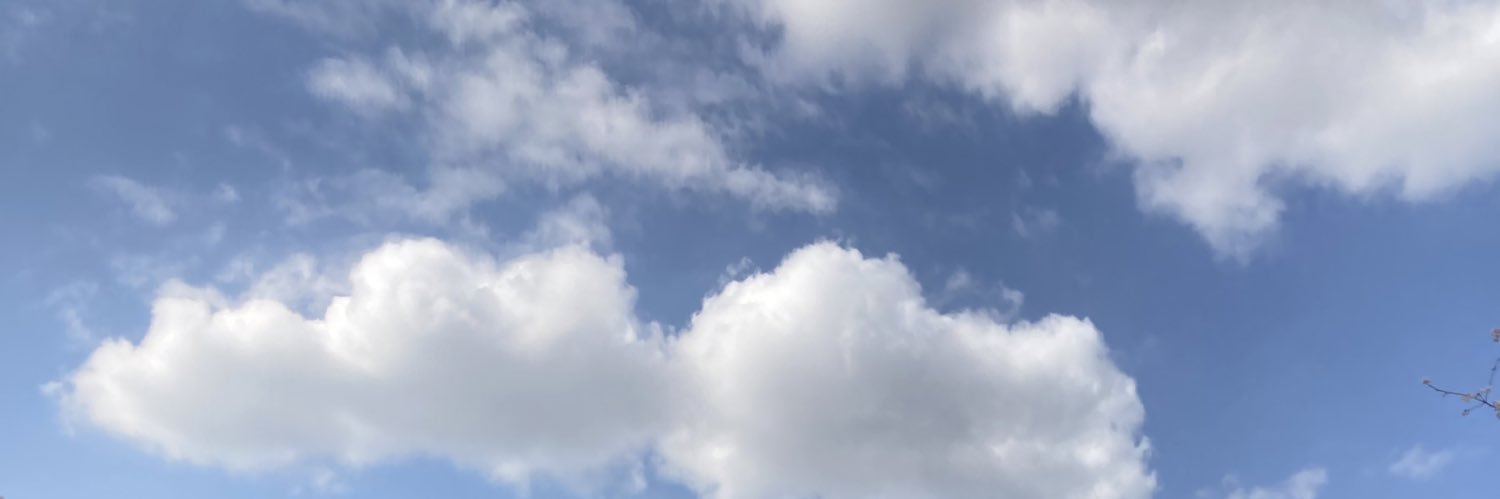 asakojima's profile banner image