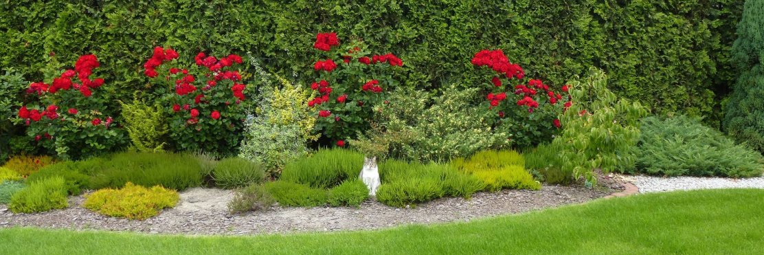 toronmag_Magda banner