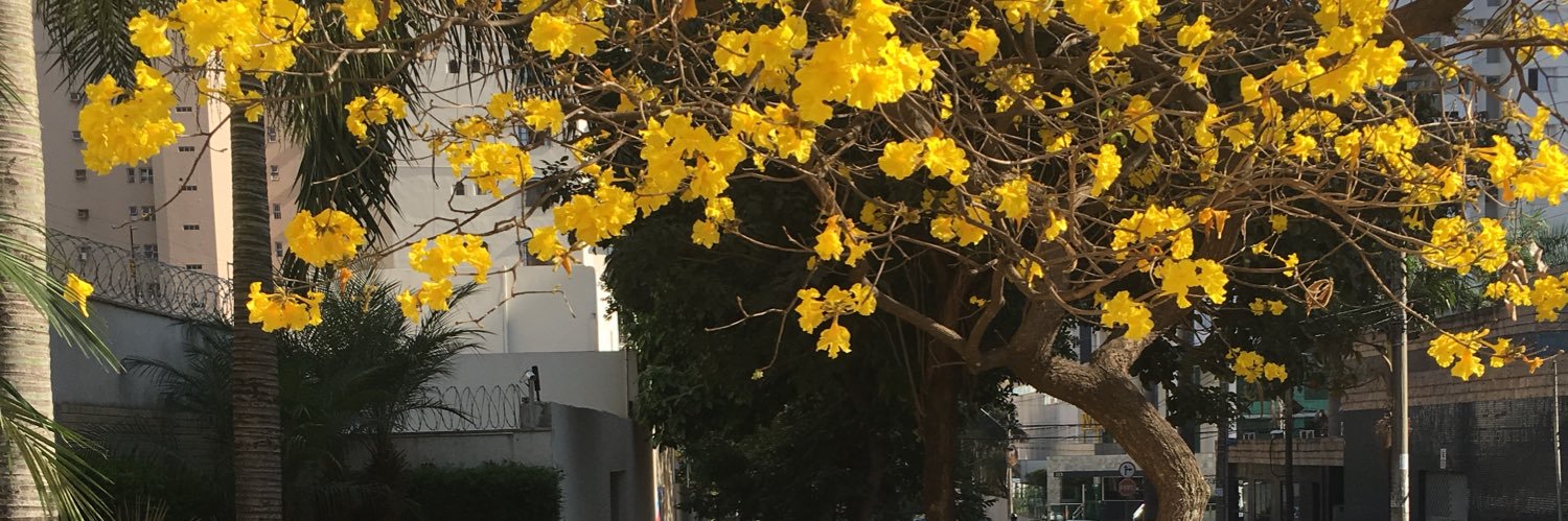 marcosabraor's profile banner image