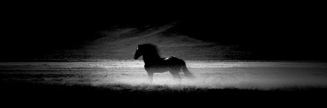 𝕰𝖑𝖛𝖎𝖓 𝕲𝖚𝖟𝖒𝖆𝖓 banner