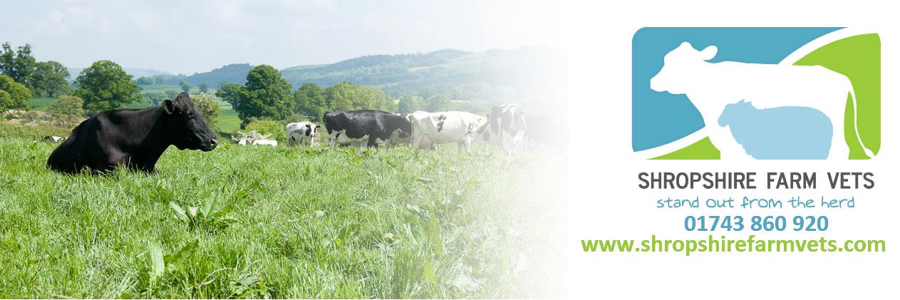 Shropshire Farm Vets banner