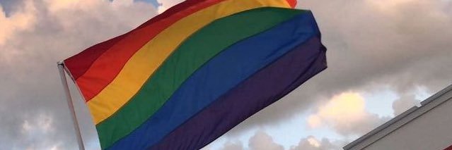 Sami banner