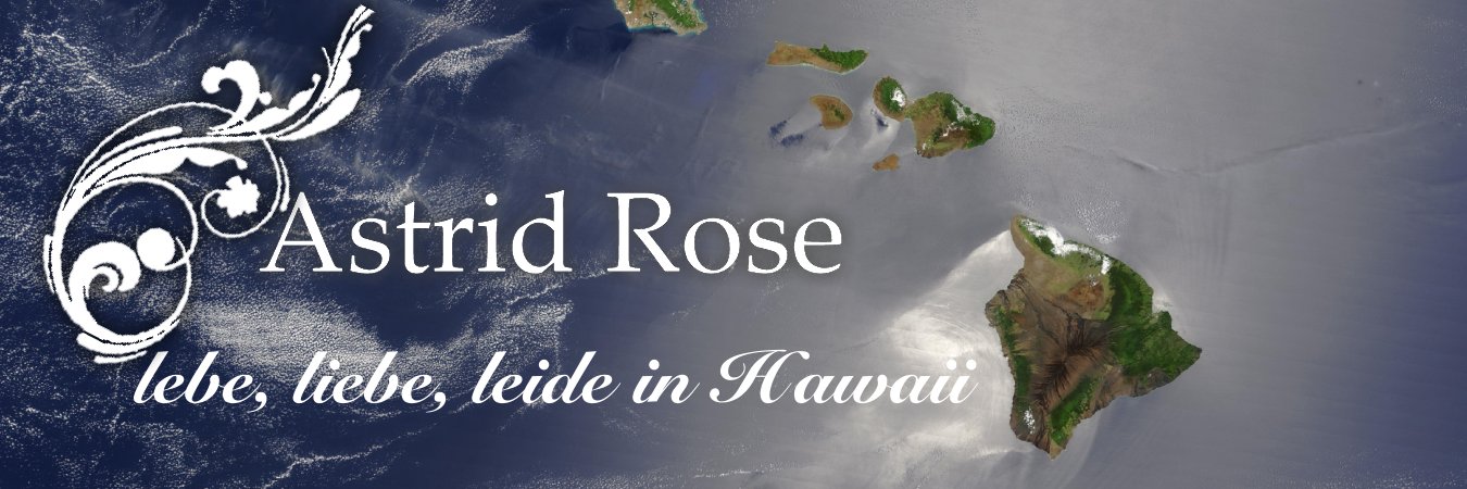traumrose's profile banner image