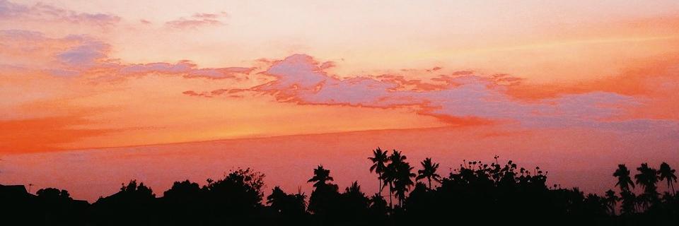 ronomore's profile banner image