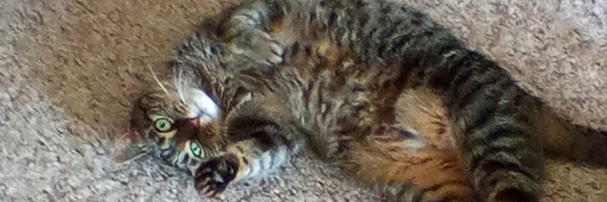 Tiffanie banner