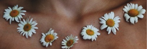 TkcSeda's profile banner image