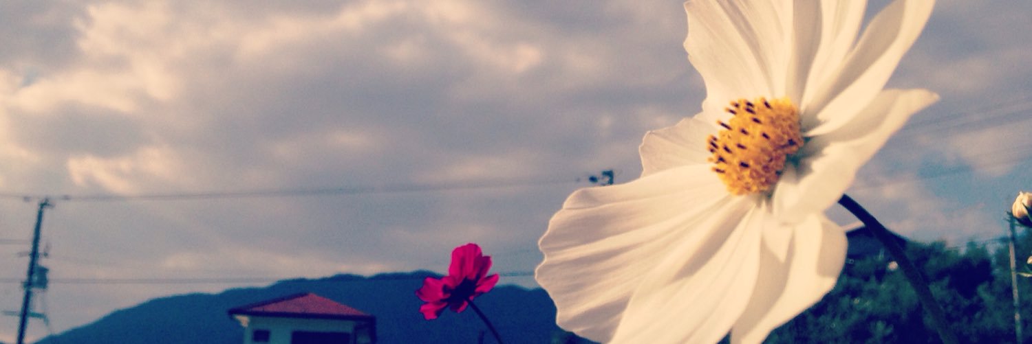 lcayoyo's profile banner image