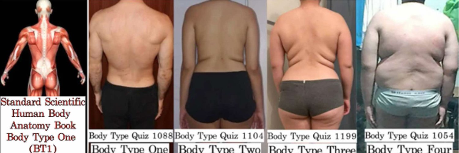 FourBodyTypes's profile banner image