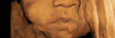 CamiBergara__'s profile banner image