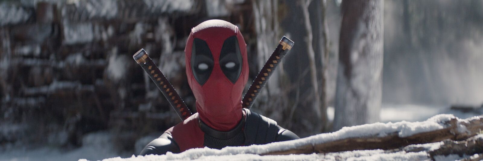 Wade Wilson banner