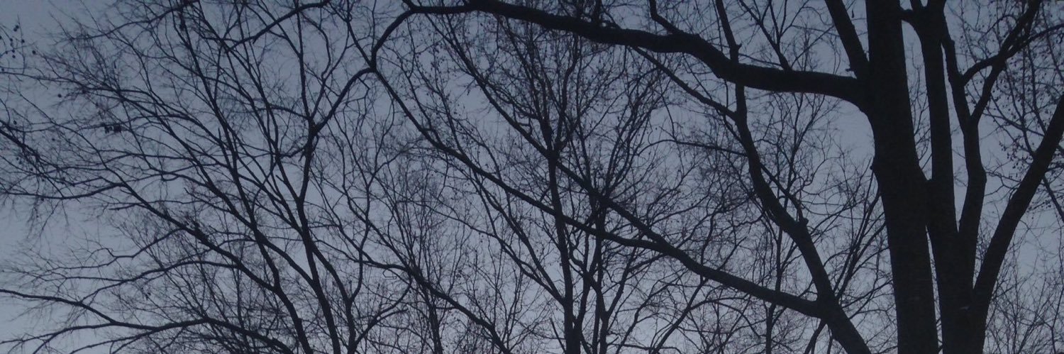 Paul Stack banner
