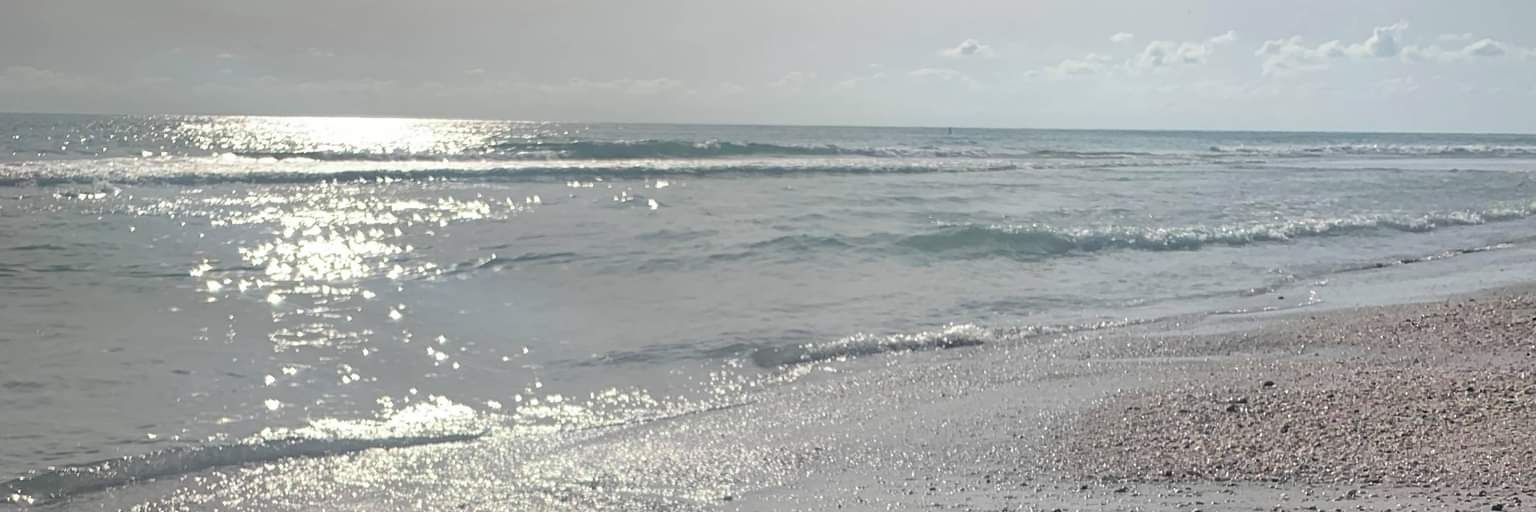 Sports Predictions banner