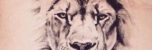 T_Barraco's profile banner image