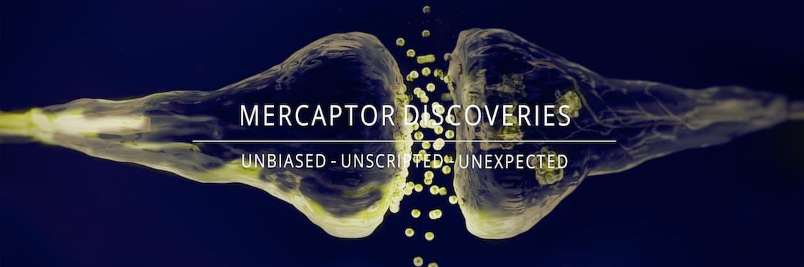 Mercaptor, Inc. banner