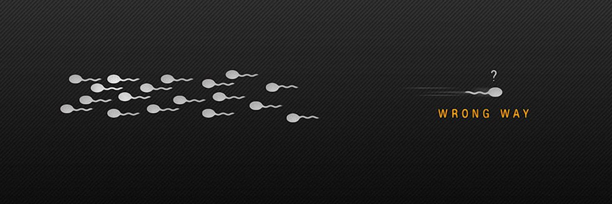 Kianooosh's profile banner image