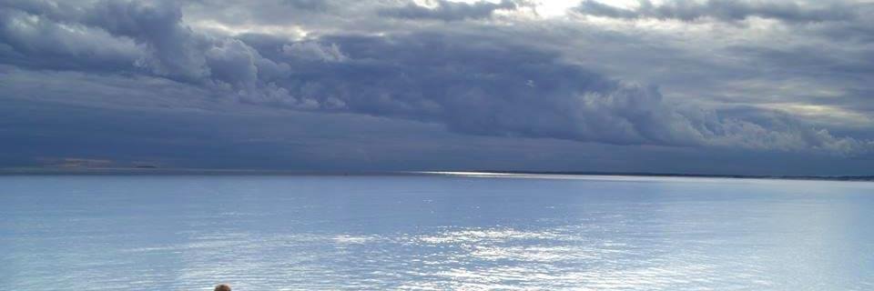 Suzanne Bates banner