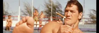 Emiliano banner