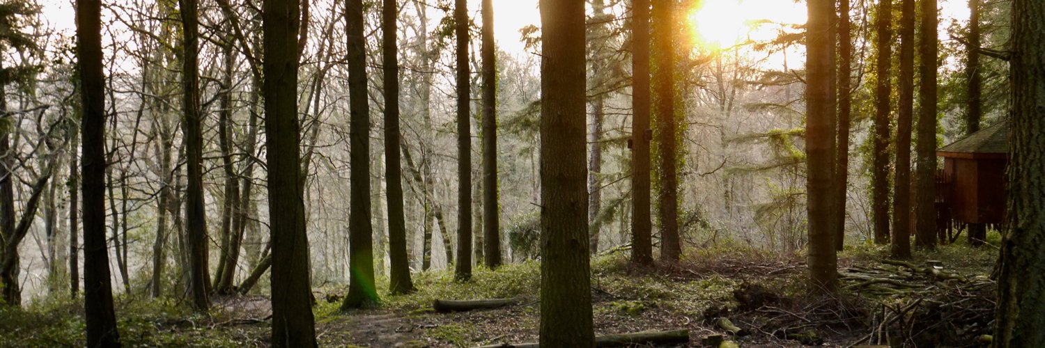 Simon McManus banner