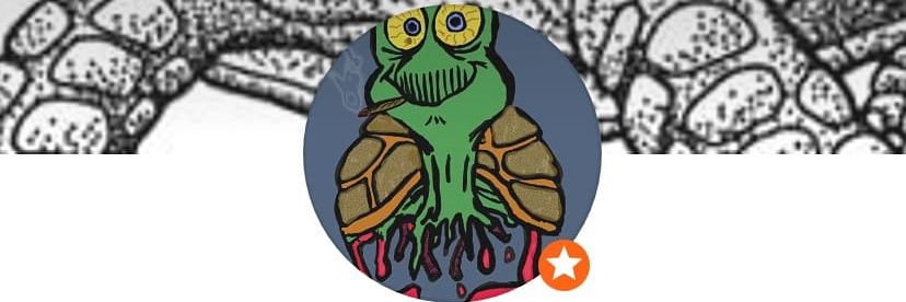 13Turtlez's profile banner image
