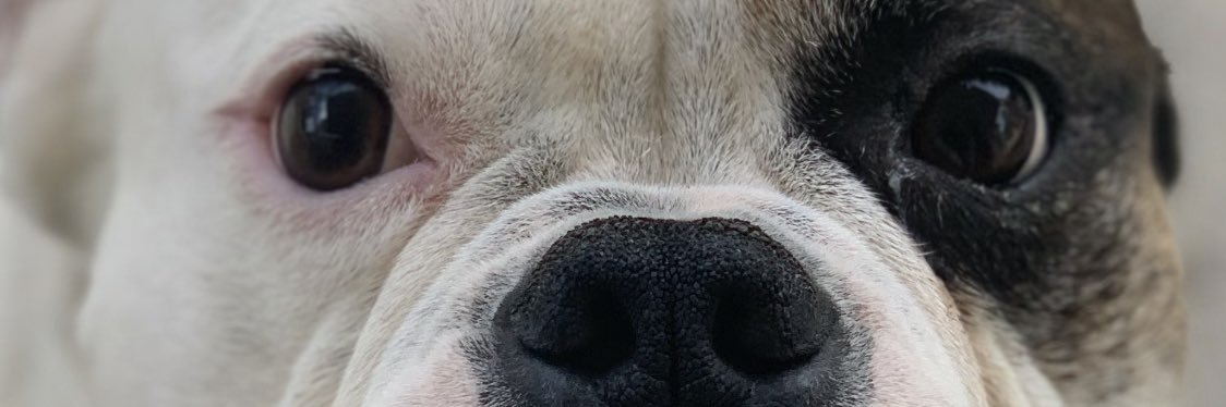 beepsies's profile banner image