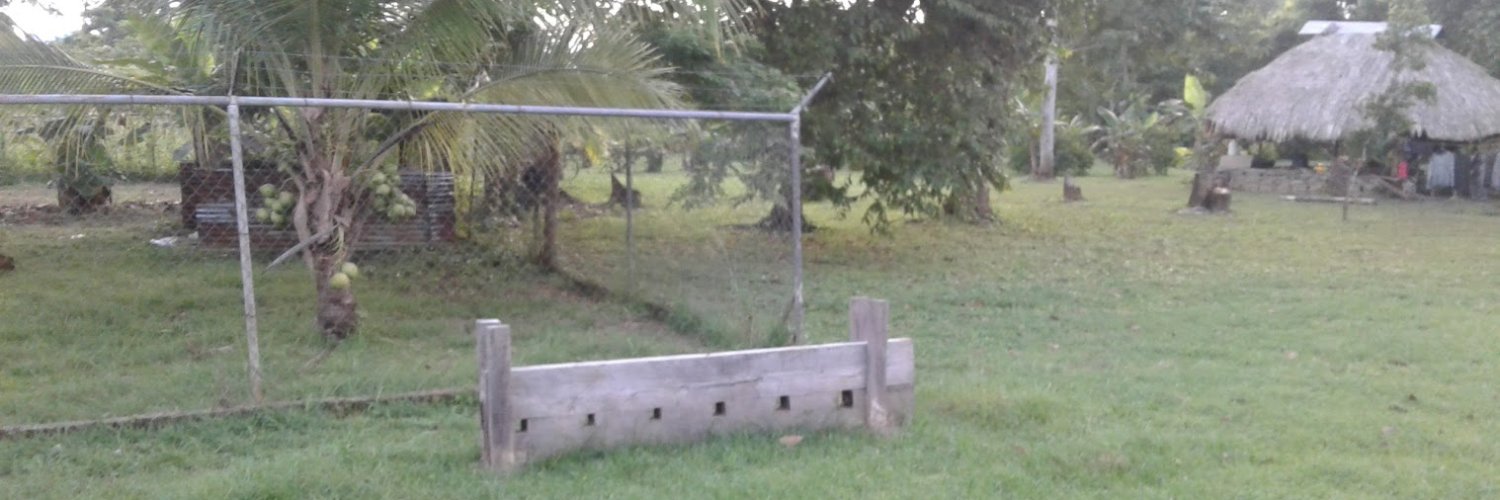 John Kolloster banner