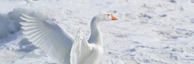gordanjames233's profile banner image