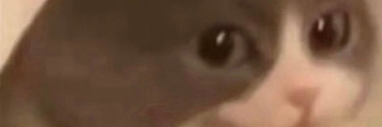DudeWhoGame's profile banner image