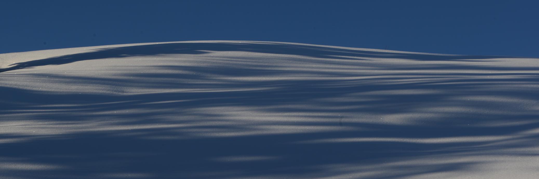 Gleb Igrunov banner