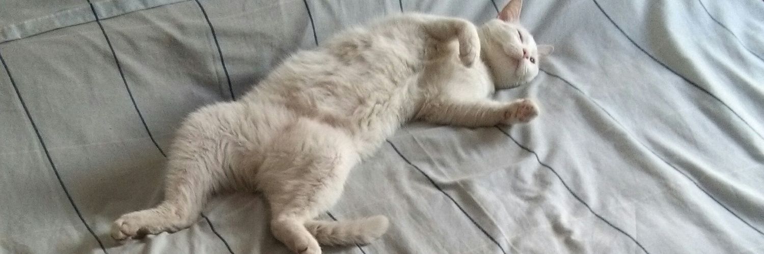 elzsol's profile banner image