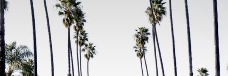 inesagelv's profile banner image