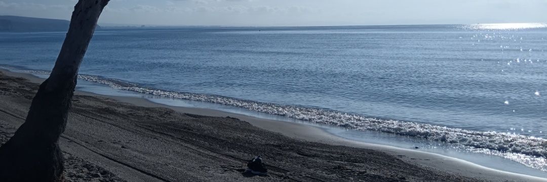 anaroxii's profile banner image