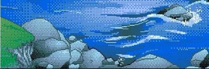 nvsk banner