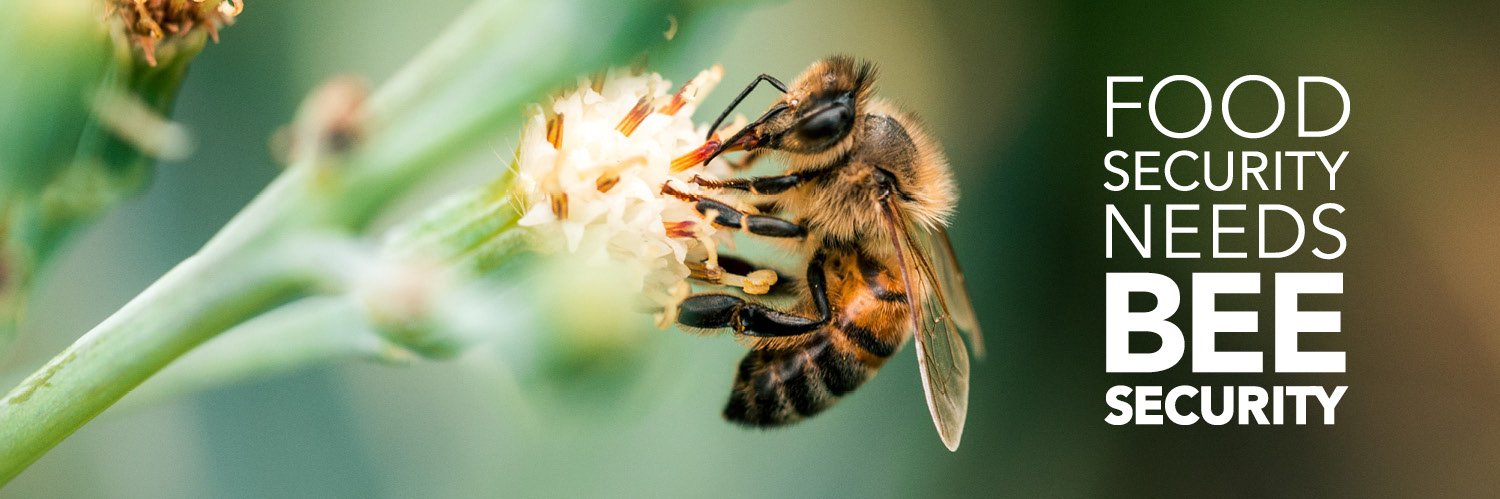 Wheen Bee Foundation banner