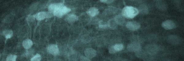 edoncheck Profile Banner